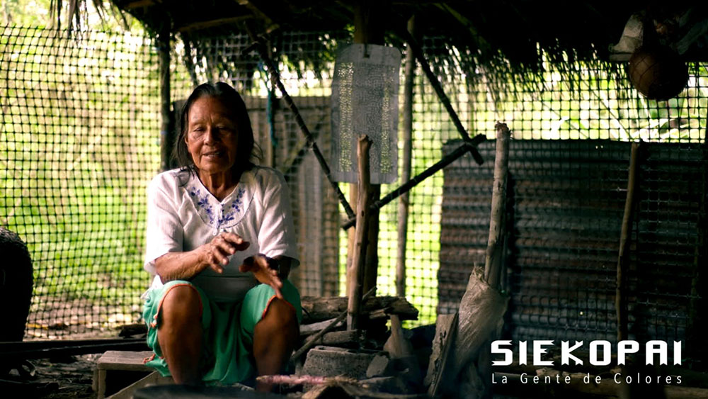 Siekopai